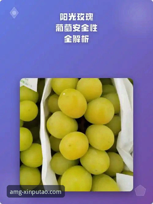 新葡萄体育平台安全使用必备知识：全面解析2024版安全性能